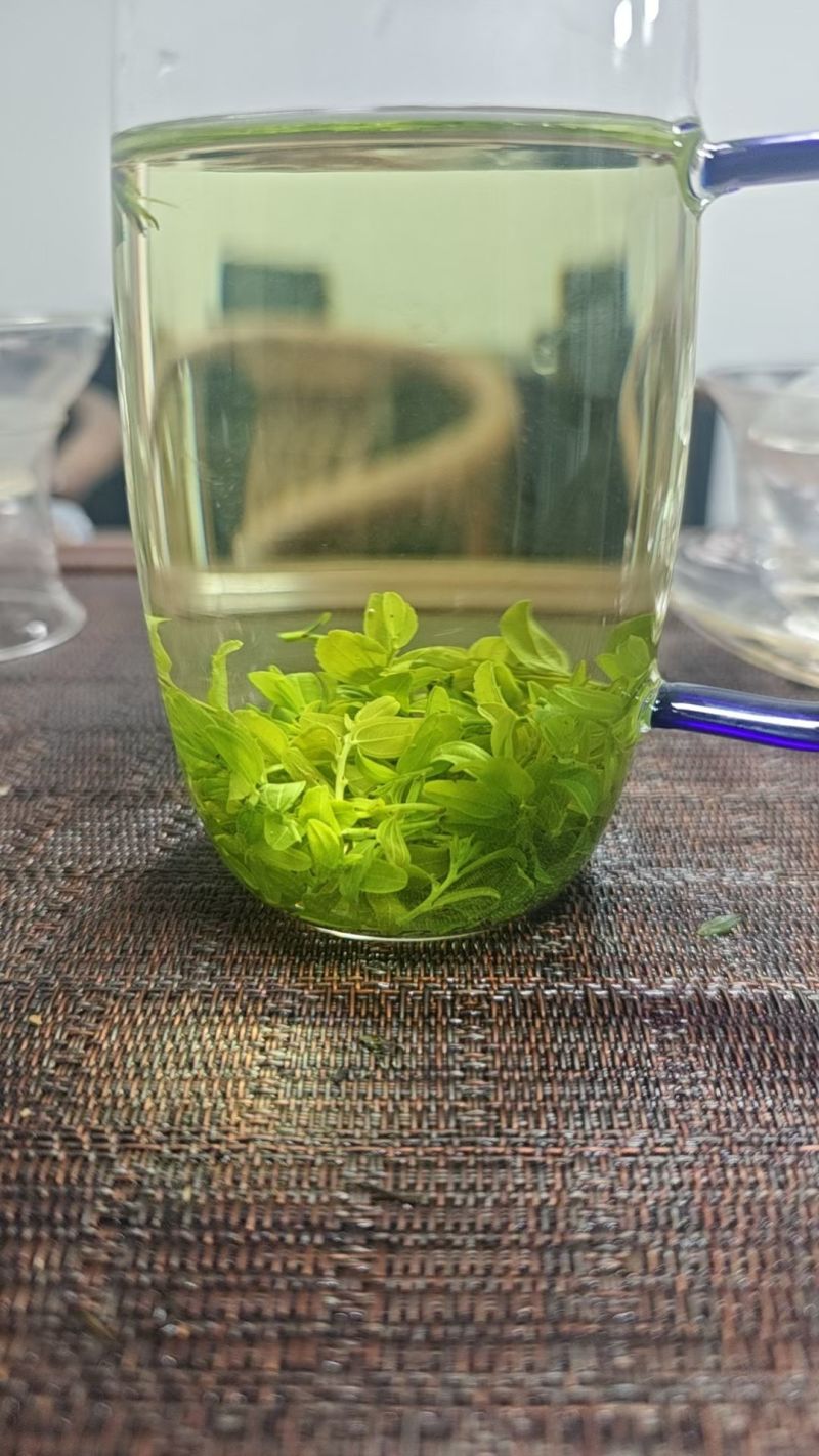 【酸枣叶茶】伏牛山酸枣叶茶/新鲜酸枣芽现摘纯手工炒制