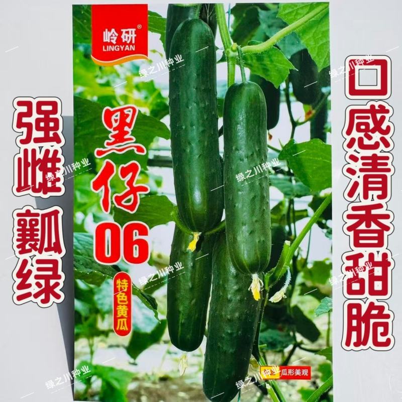 黑仔06深绿色水果黄瓜种子强雌绿肉黄瓜种籽清香甜脆黄瓜种