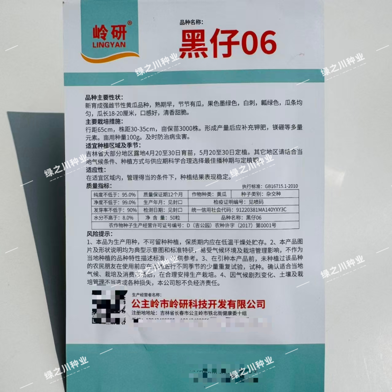 黑仔06深绿色水果黄瓜种子强雌绿肉黄瓜种籽清香甜脆黄瓜种
