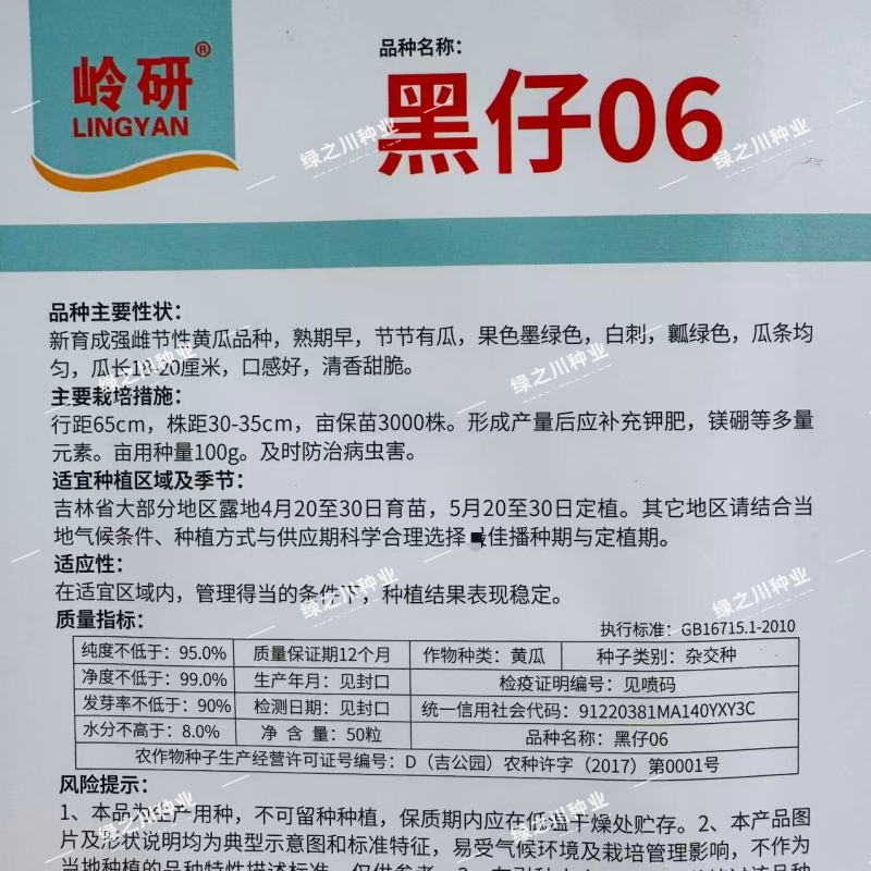 黑仔06深绿色水果黄瓜种子强雌绿肉黄瓜种籽清香甜脆黄瓜种