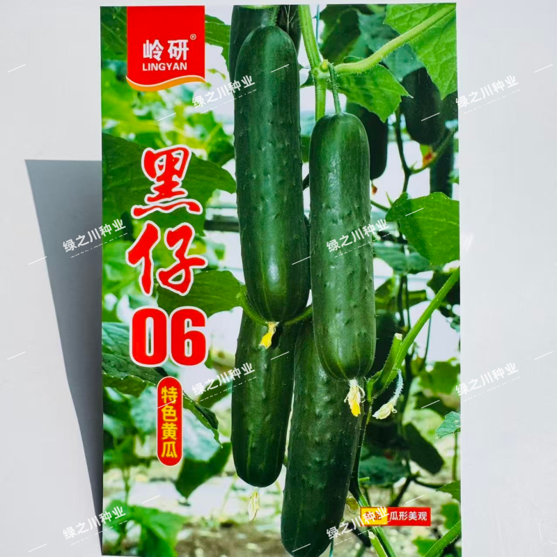 黑仔06深绿色水果黄瓜种子强雌绿肉黄瓜种籽清香甜脆黄瓜种