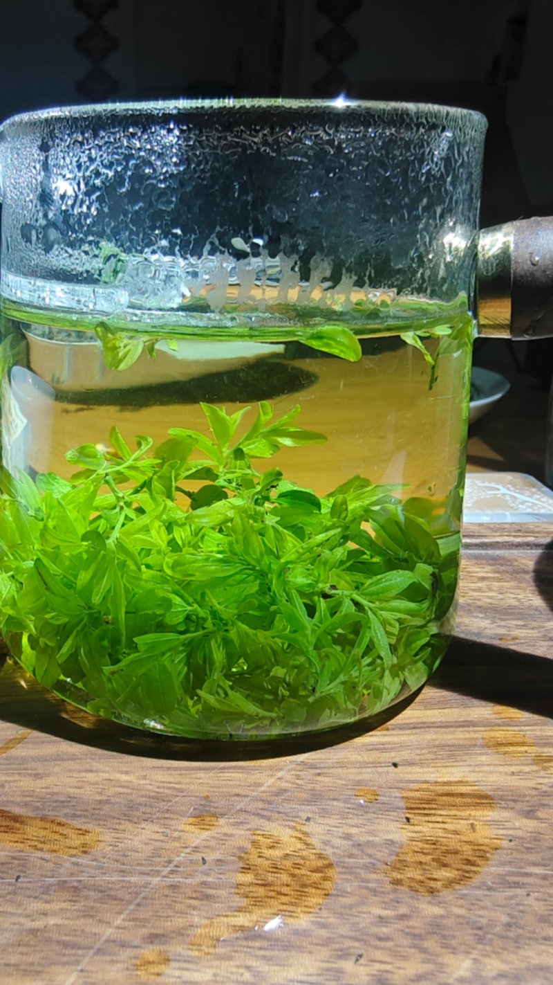 【酸枣叶茶】河南酸枣叶茶/伏牛山脉野生酸枣叶茶/优惠