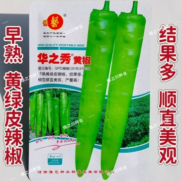 华之秀黄椒种籽黄绿皮尖椒种子味辣早熟黄皮椒种子超长大尖椒