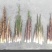 鲜竹笋