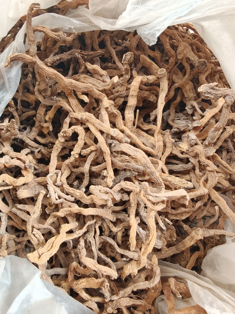 玉竹，大别山野生玉竹