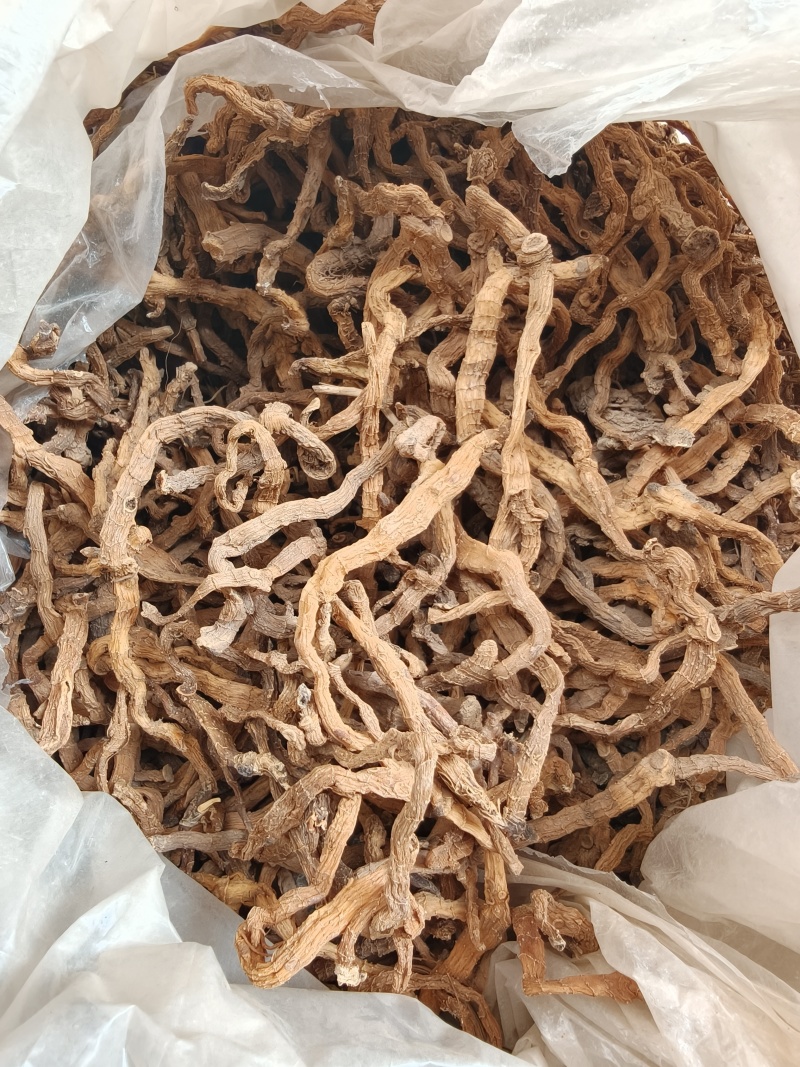 玉竹，大别山野生玉竹