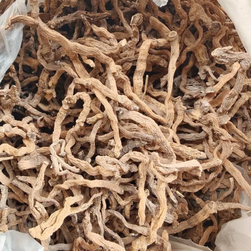 玉竹，大别山野生玉竹