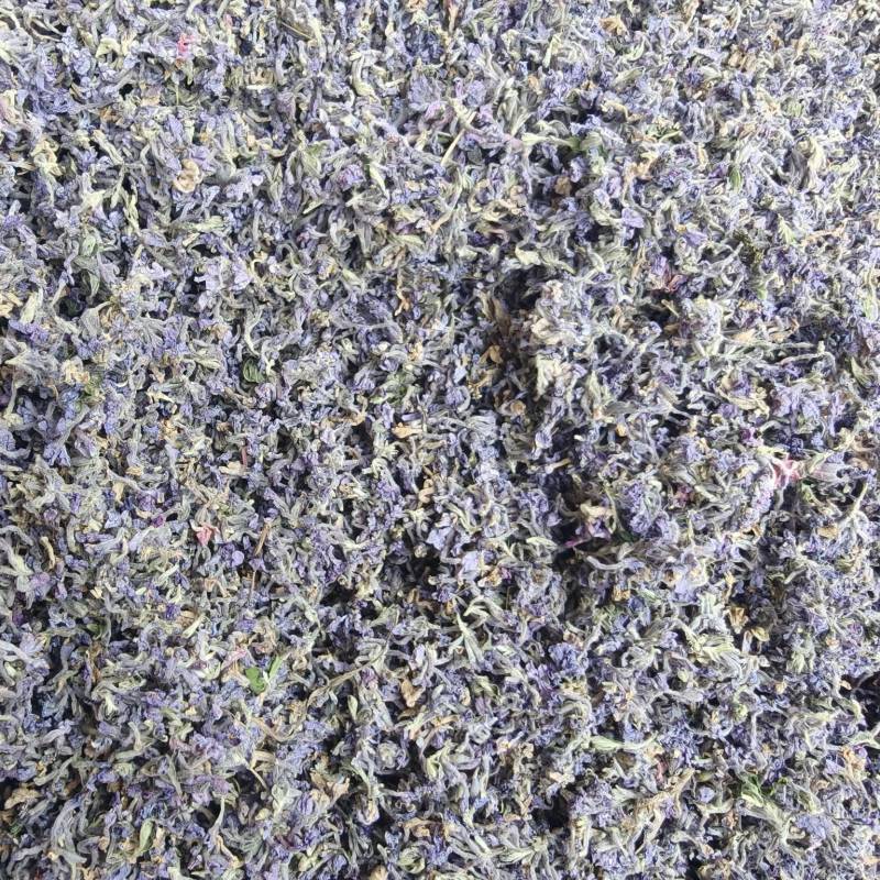 芫花干货，头疼花