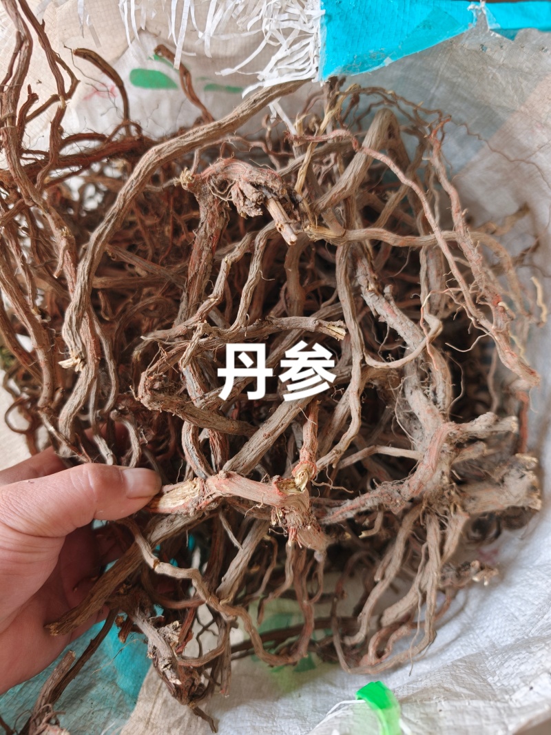 丹参干货