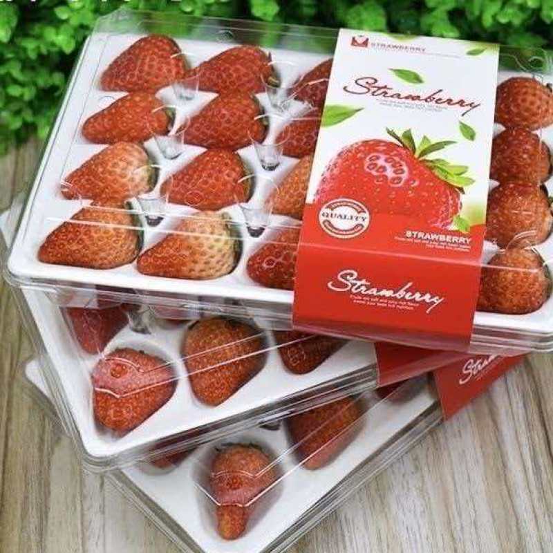 云南夏草莓开始上线产地直发每天都可以发货