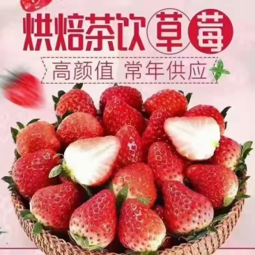 云南夏草莓开始上线产地直发每天都可以发货