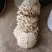 甲鱼壳，野生甲鱼壳