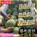 【山东甜王西瓜】大棚甜王西瓜/包熟包甜/基地直供/全国发