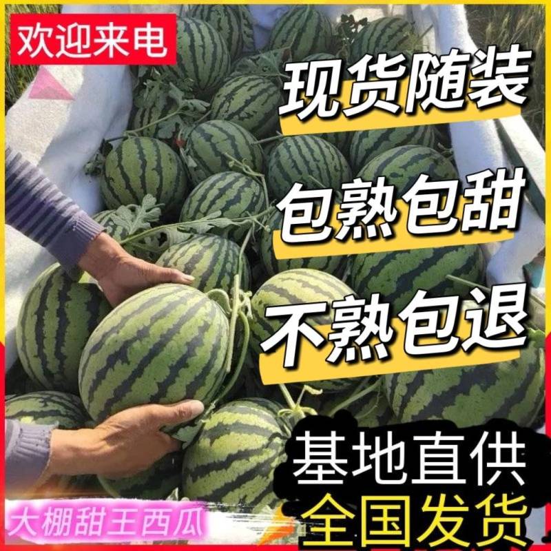 【山东甜王西瓜】大棚甜王西瓜/包熟包甜/基地直供/全国发