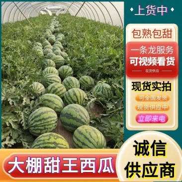 『精选』大棚甜王西瓜/山东甜王西瓜/包熟包甜/全国发货