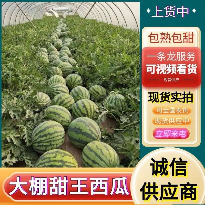 『精选』大棚甜王西瓜/山东甜王西瓜/包熟包甜/全国发货