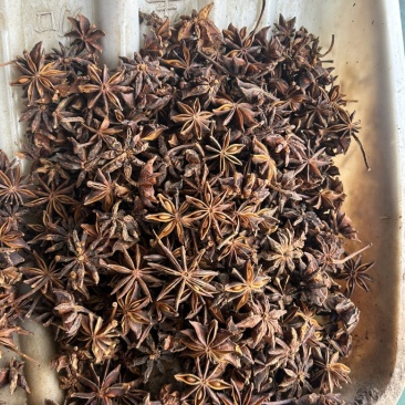 广西八角，颗粒大，天硫，货源充足，欢迎咨询