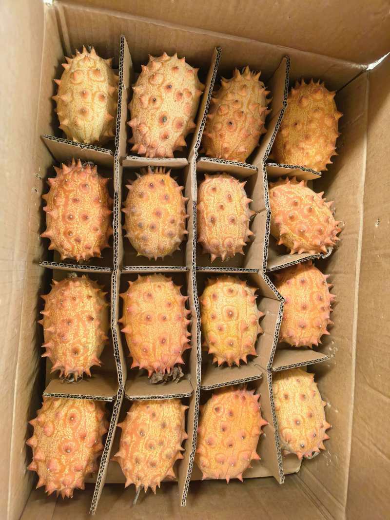 精品火参果批发，火星果，灭霸果
