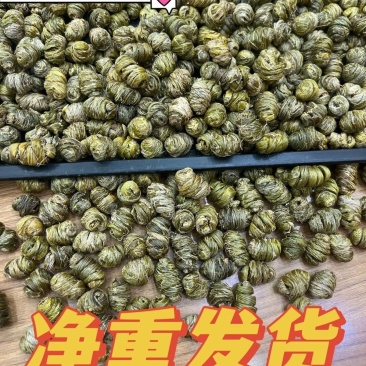 正品铁皮石斛中药材堪比正宗霍山铁皮枫斗夏天颗粒滋补佳品胶