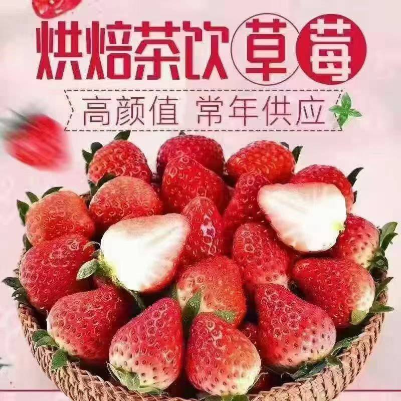 云南夏草莓蒙特瑞圣安