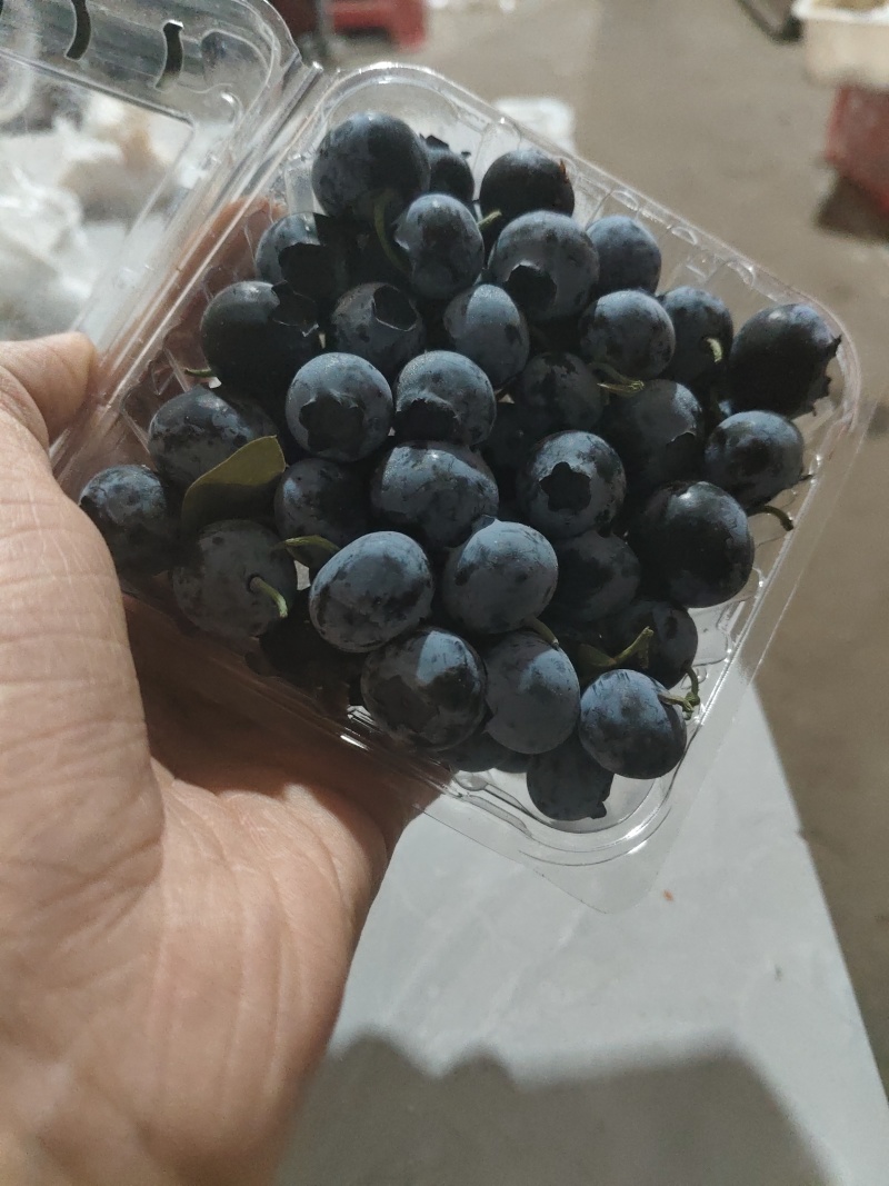 蓝莓精品大小果都有品种齐全包装齐全口感好市场大
