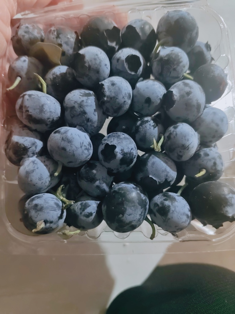 蓝莓精品大小果都有品种齐全包装齐全口感好市场大