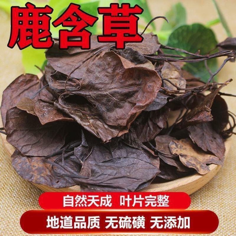 鹿衔草中药材鹿含草蹄草鹿安草鹿寿草正品草药批发零售