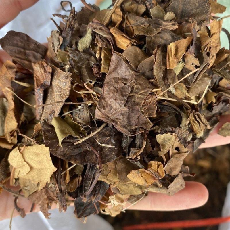 鹿衔草中药材鹿含草蹄草鹿安草鹿寿草正品草药批发零售