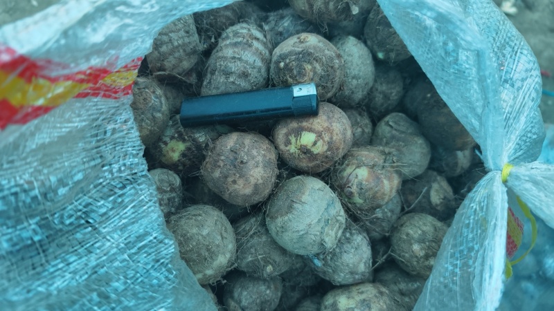 牛奶精品小芋头30-50克