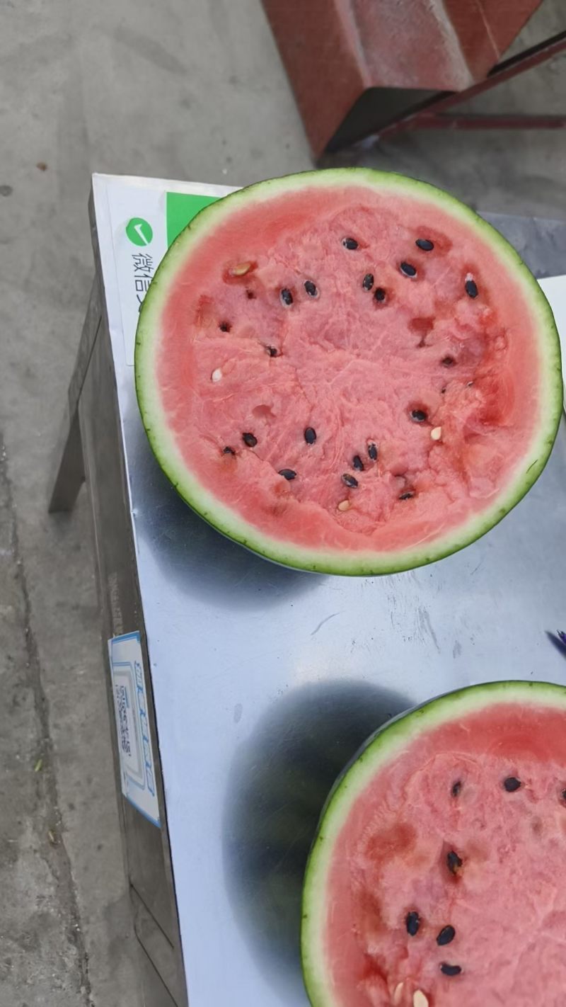美都西瓜口感甜糖度高个头均匀
