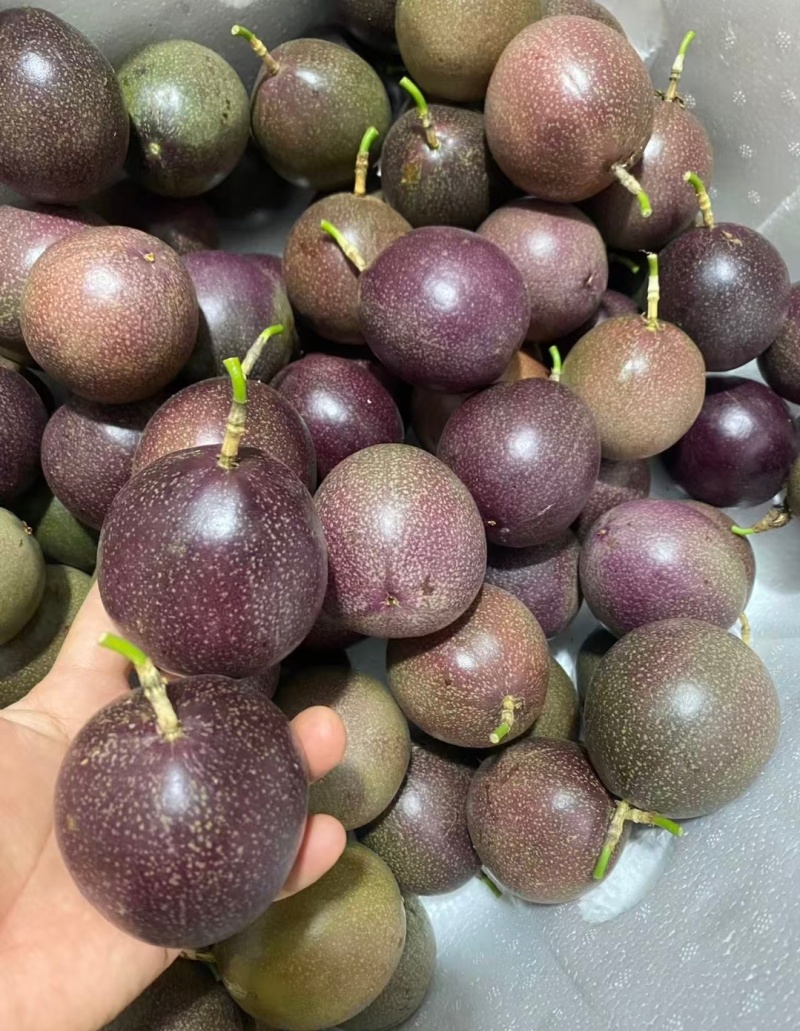 蜜桃百香果