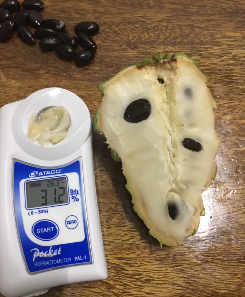 释迦果源头