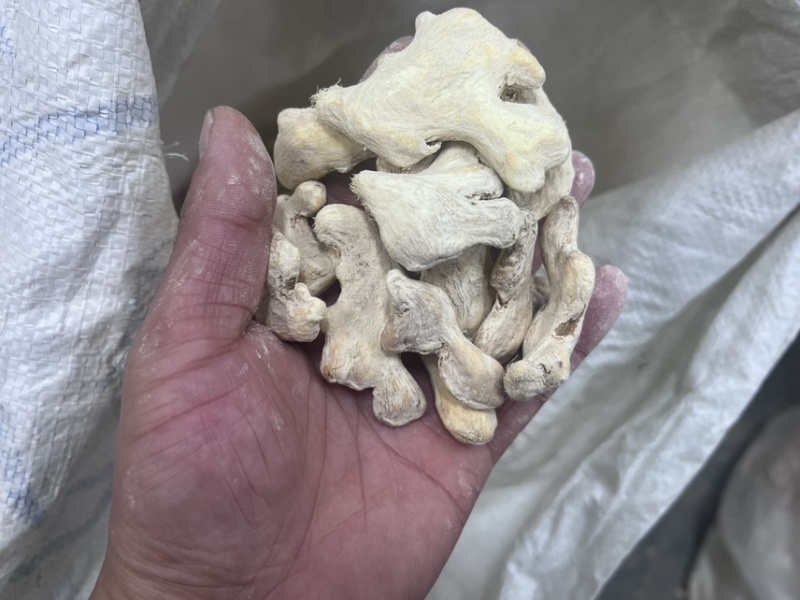云南小黄姜干姜块干姜展会姜粉老干姜均姜出口批发