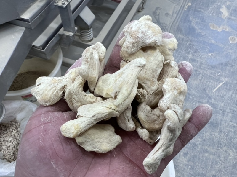 云南小黄姜干姜块干姜展会姜粉老干姜均姜出口批发