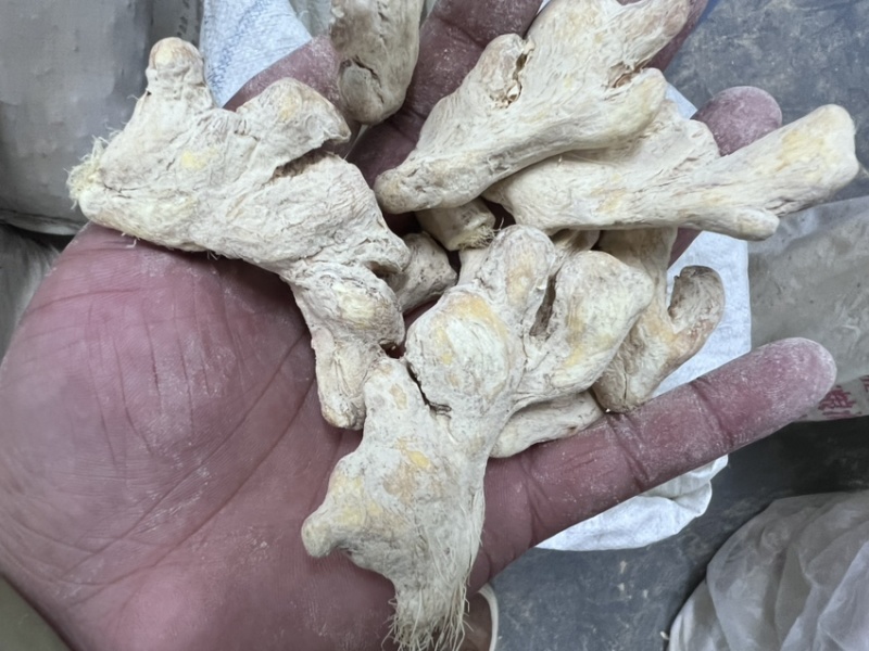 云南小黄姜干姜块干姜展会姜粉老干姜均姜出口批发