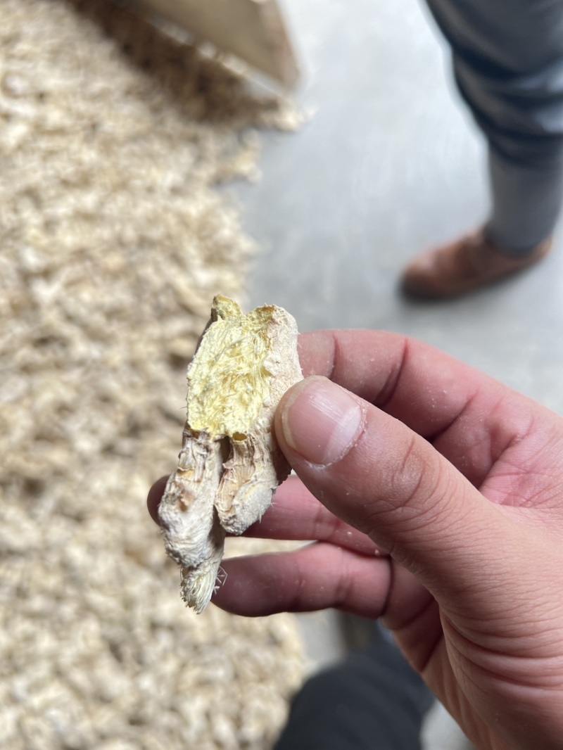 云南小黄姜干姜块干姜展会姜粉老干姜均姜出口批发