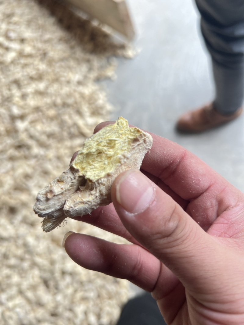 云南小黄姜干姜块干姜展会姜粉老干姜均姜出口批发