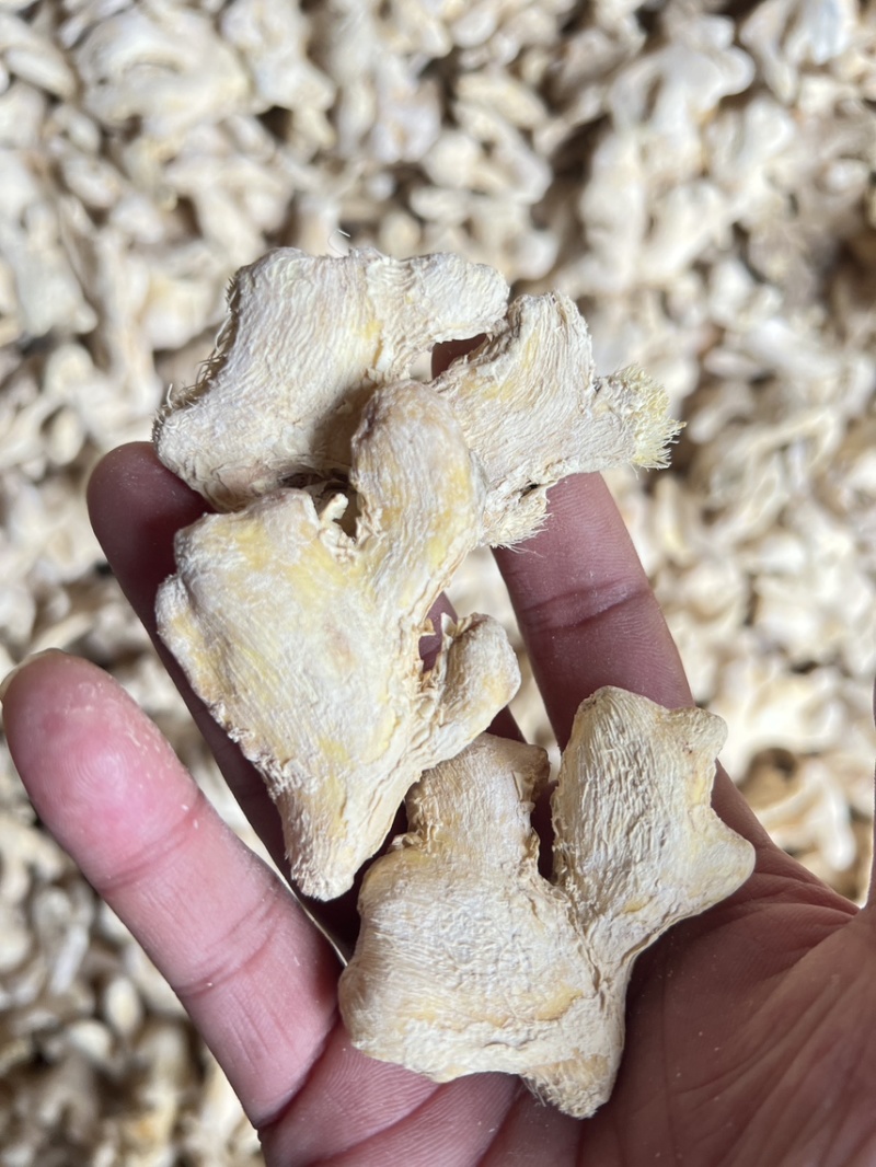 云南小黄姜干姜块干姜展会姜粉老干姜均姜出口批发