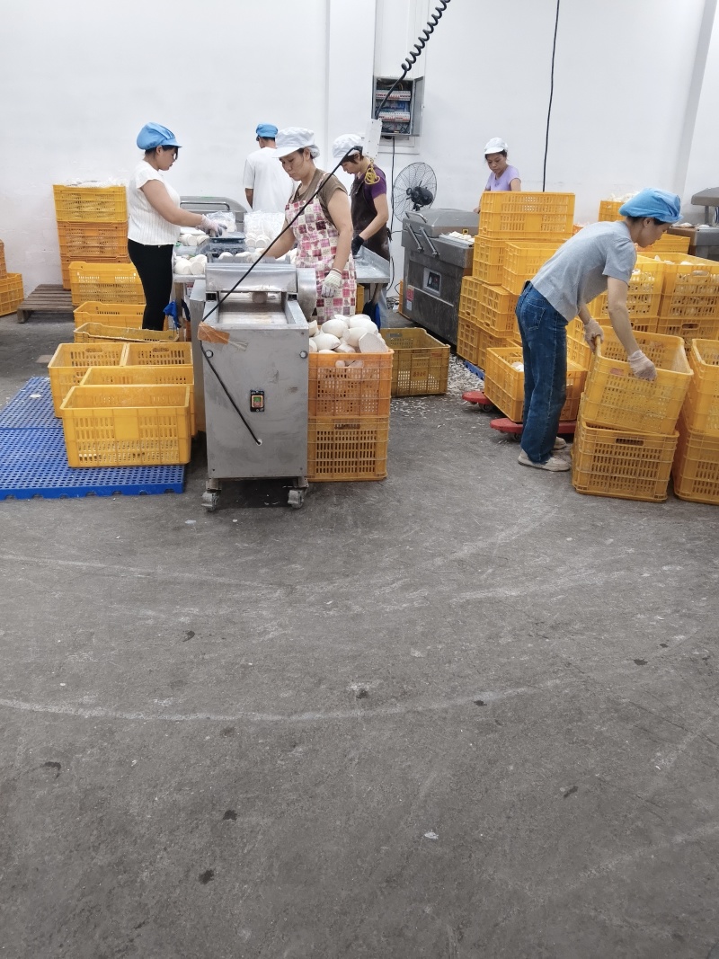 长期供应削皮白马蹄电话***********