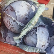 质量**，大量现货，需要的联系