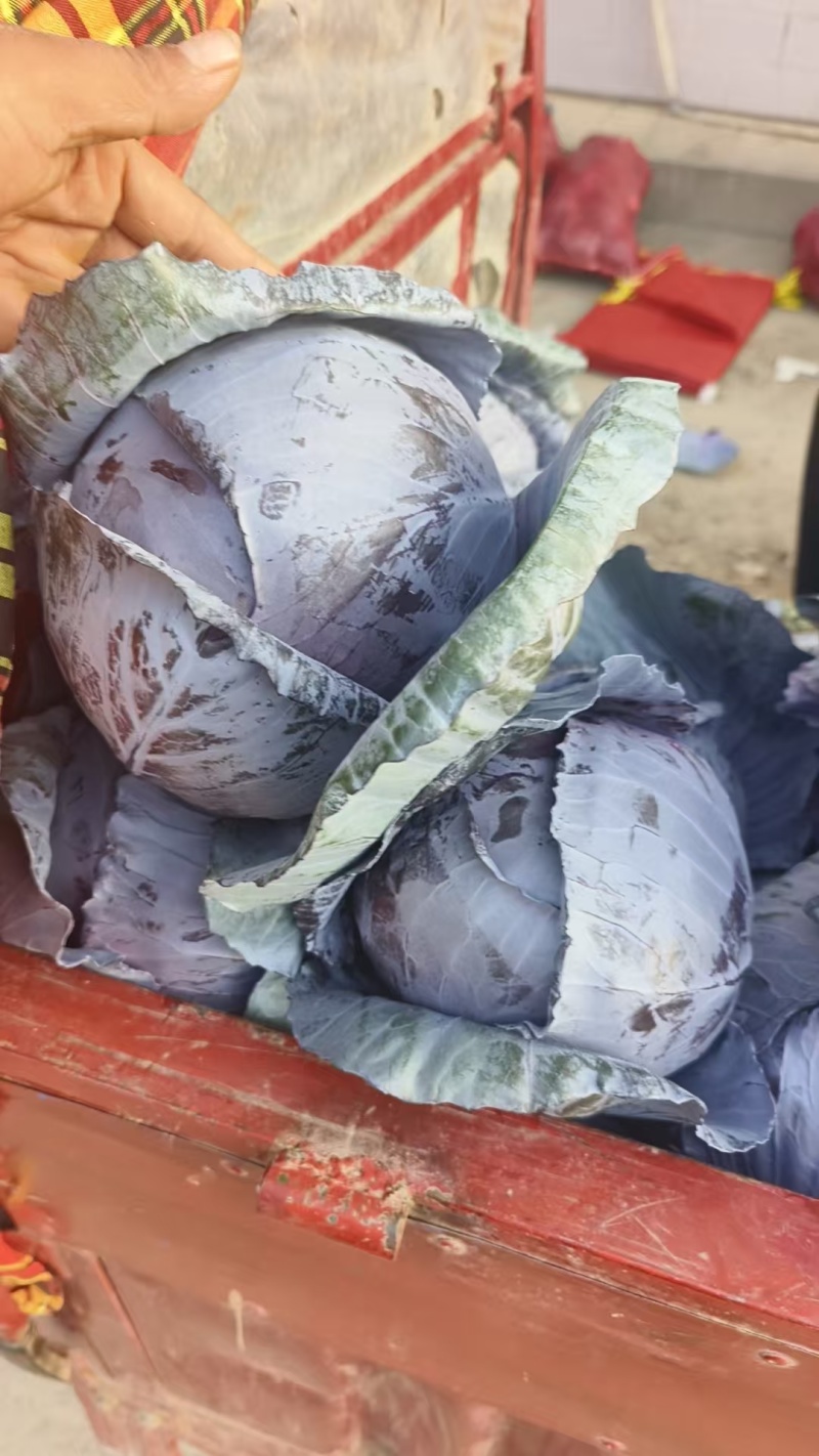 质量**，大量现货，需要的联系