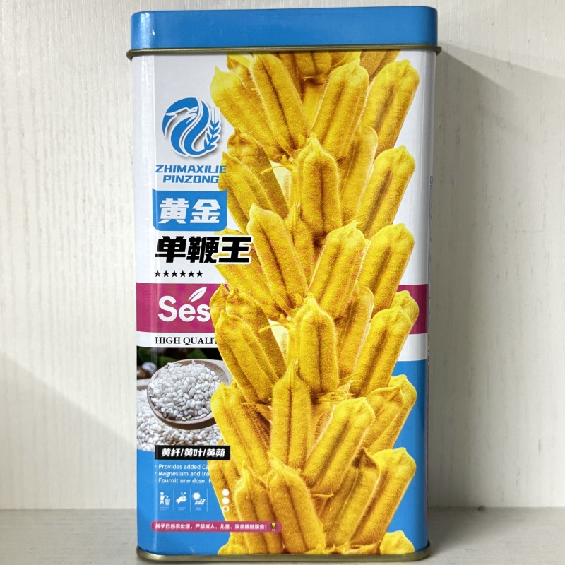 正宗矮腿八棱王白芝麻种子黄杆黄朔单杆型抗病高产含油高矮脚