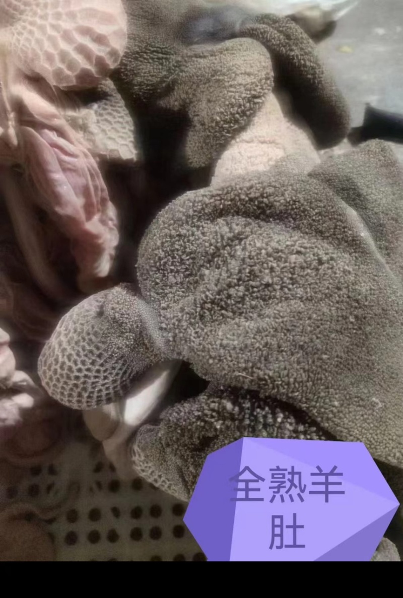 【精品】羊毛肚全熟羊净肚厂家直发量大优惠欢迎选购