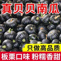 （贝贝南瓜）精品贝贝/电商直播/市场商超/按需包装发货