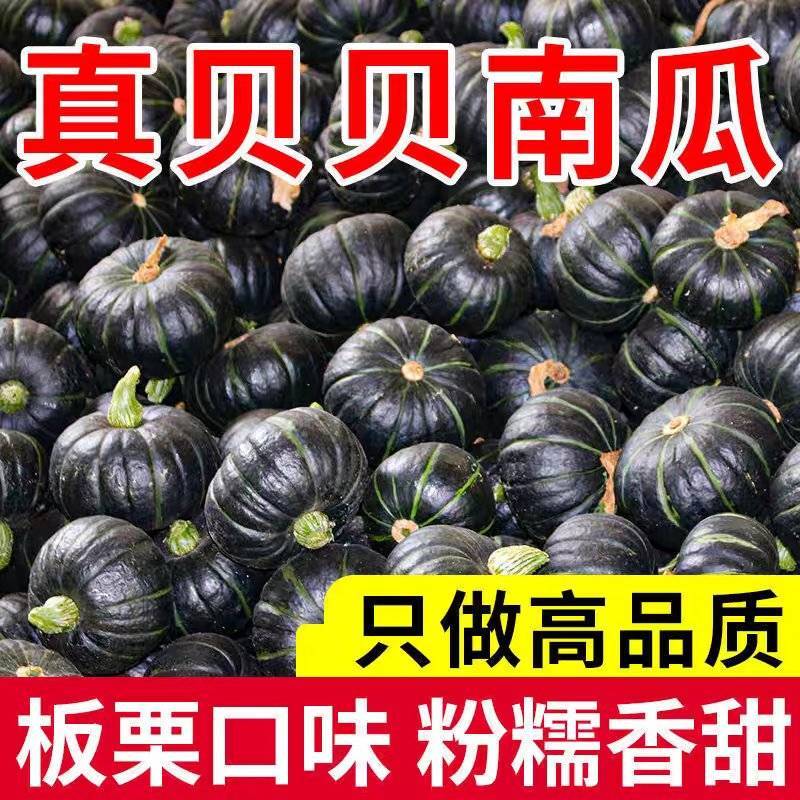 （贝贝南瓜）精品贝贝/电商直播/市场商超/按需包装发货
