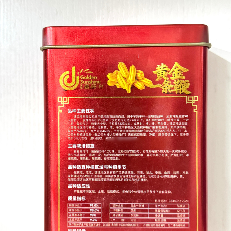 黄金一条鞭白芝麻种子黄杆黄蒴白芝麻抗倒伏抗旱耐渍含油高出