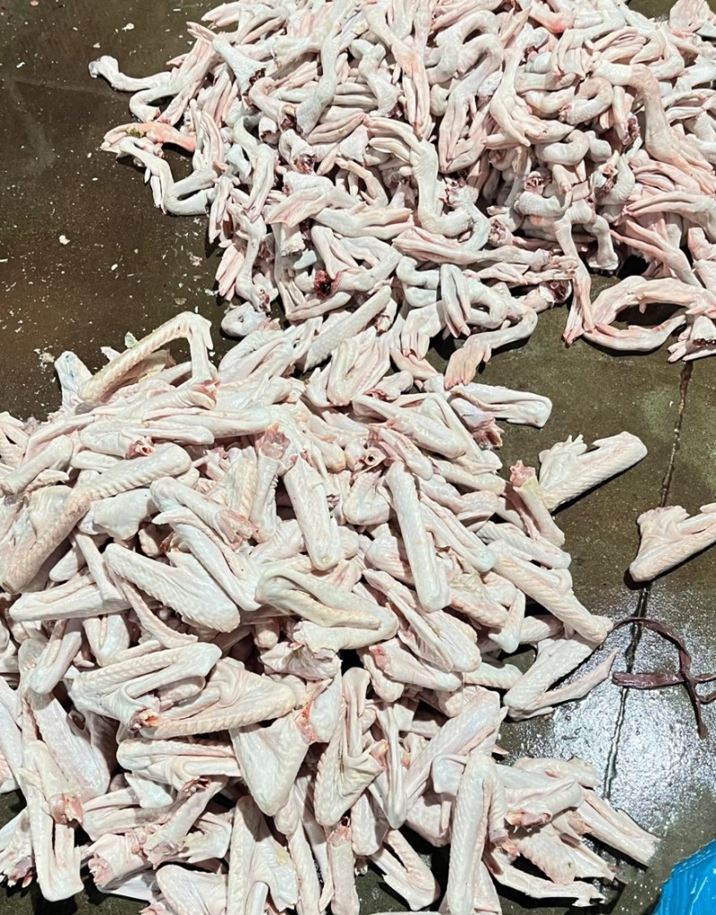 正宗潮汕狮头鹅生鲜整只现杀现发净膛生鹅农家散养