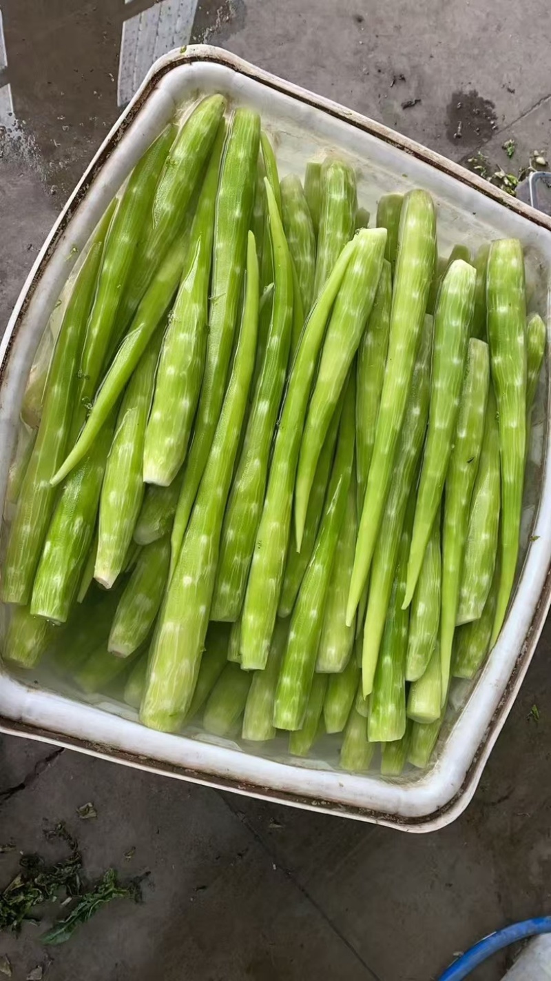 莴笋莴苣肉去皮莴笋杆真空包装厂地直供