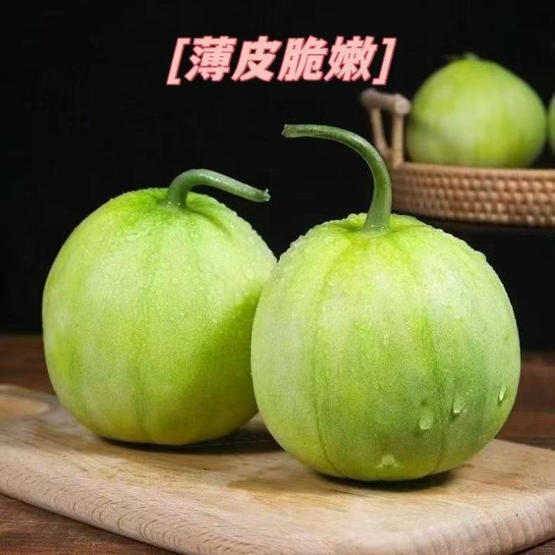 正宗马连庄小甜瓜产地直发甜宝甜瓜大量上市欢迎合作
