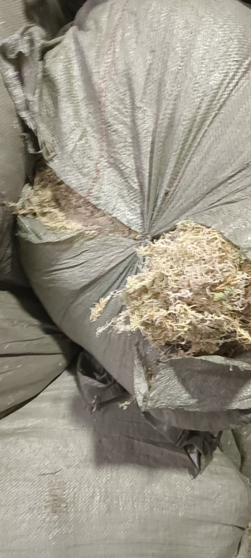 贵州优质水苔